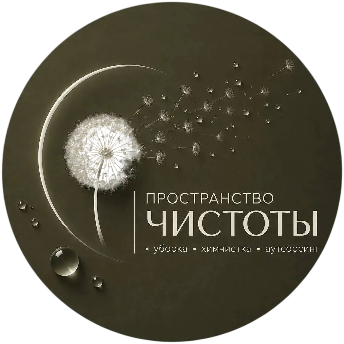 Пространство чистоты
